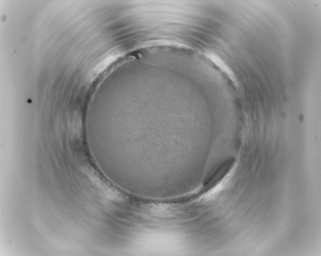 X0000088850969200706221656