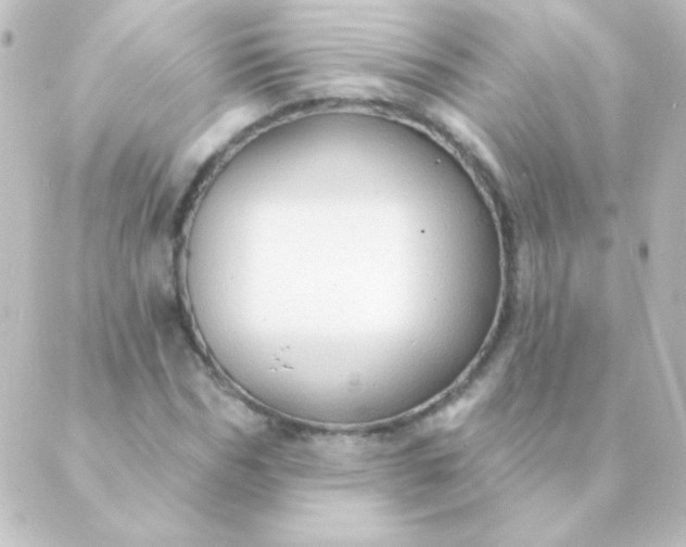 X0000088850970200706221656