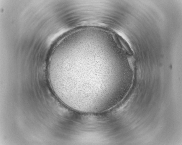 X0000088850971200706221656