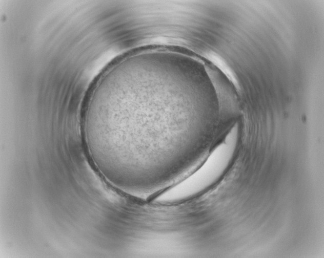 X0000088850972200706221656