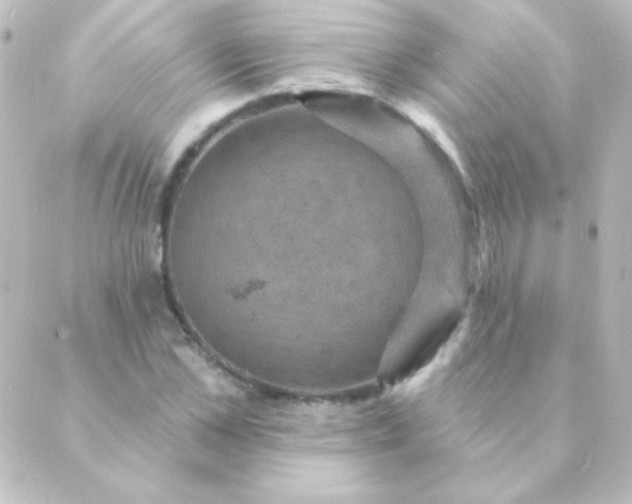 X0000088850973200706221656