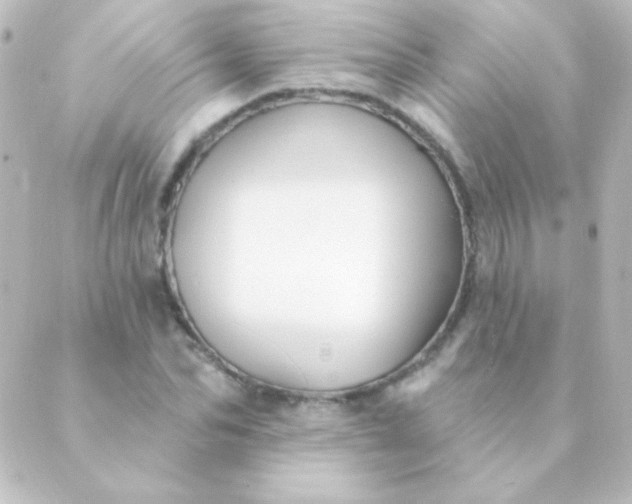 X0000088850974200706221656