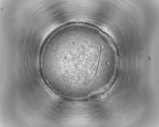 X0000088850976200706221656