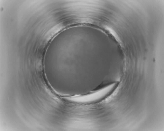 X0000088850977200706221656