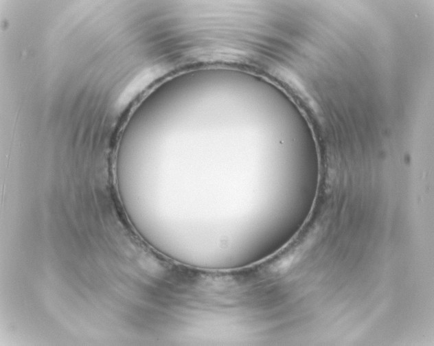 X0000088850978200706221656