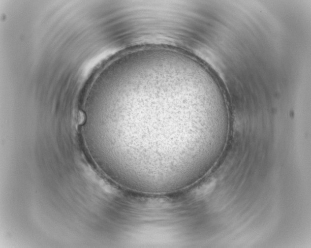 X0000088850979200706221656