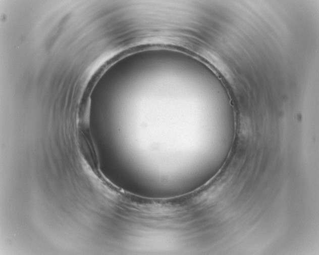 X0000088850980200706221656