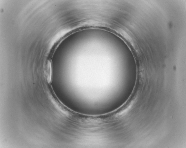 X0000088850981200706221656