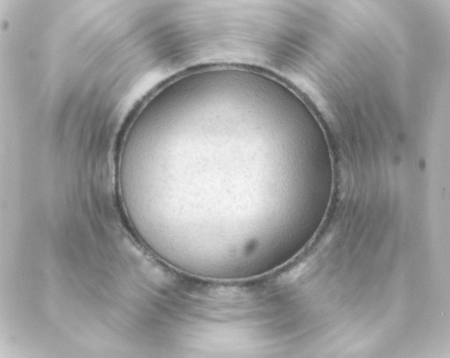 X0000088850982200706221656