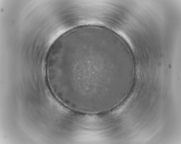 X0000088850983200706221656