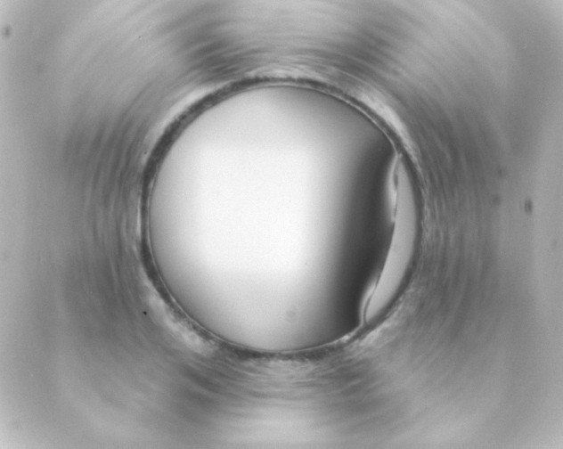 X0000088850984200706221656