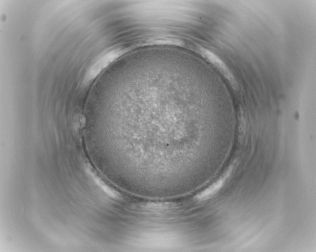 X0000088850985200706221656