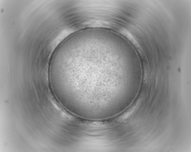 X0000088850986200706221656