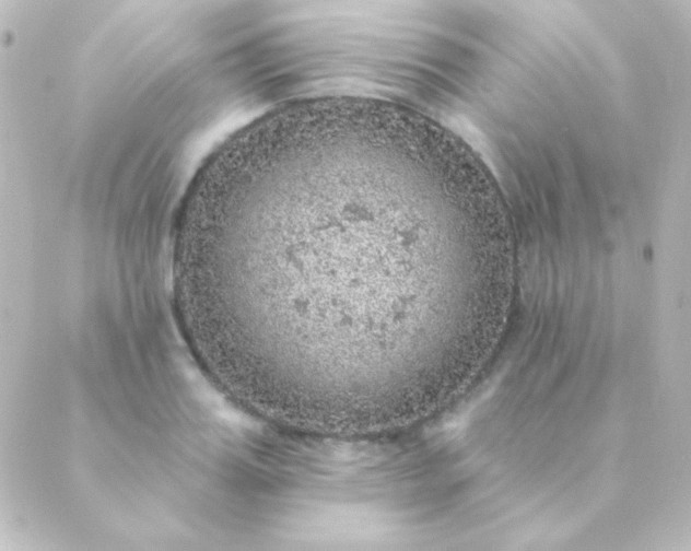 X0000088850987200706221656