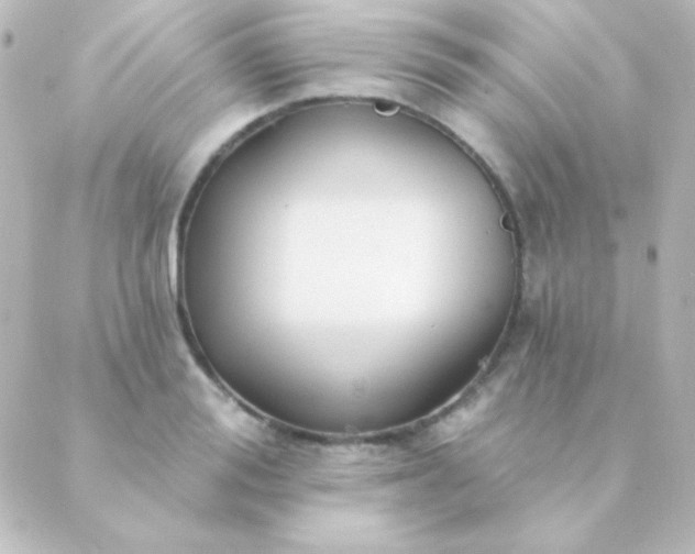 X0000088850988200706221656