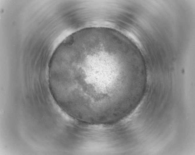 X0000088850990200706221656