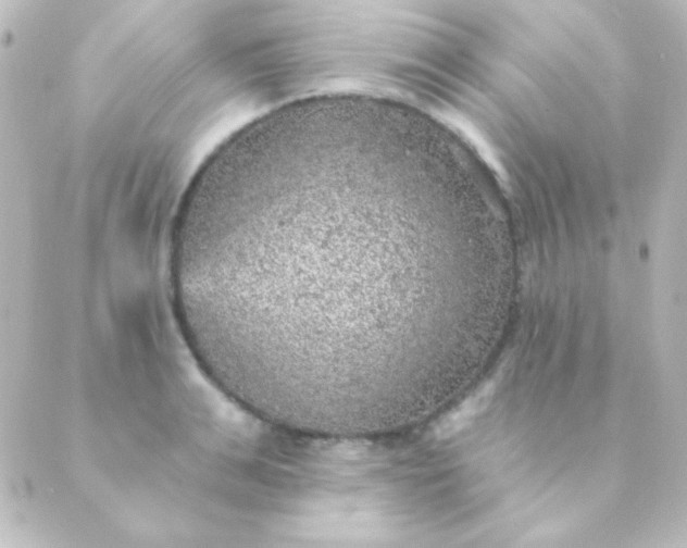 X0000088850991200706221656