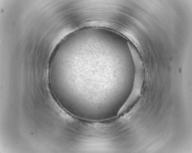 X0000088850992200706221656