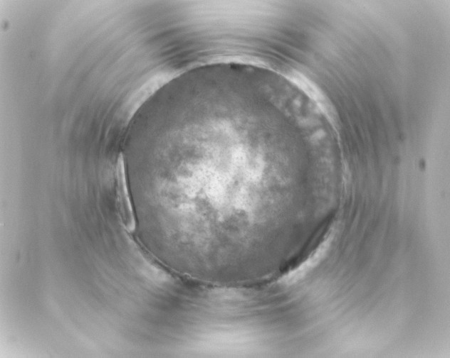 X0000088850993200706221656