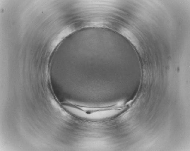 X0000088850994200706221656