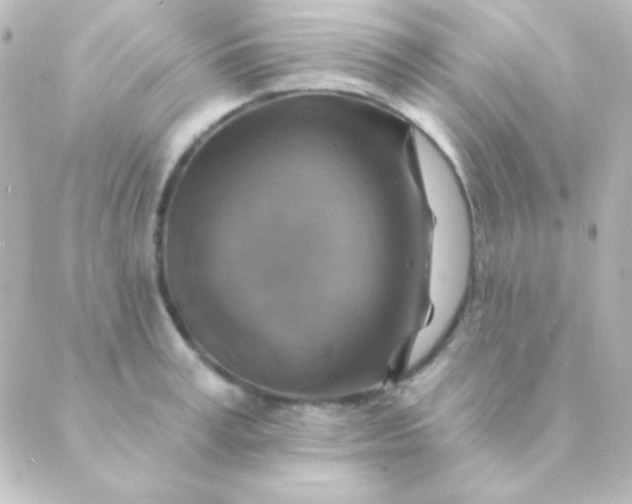 X0000088850995200706221656