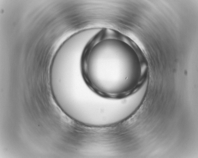 X0000088850996200706221656