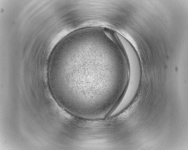 X0000088850997200706221656