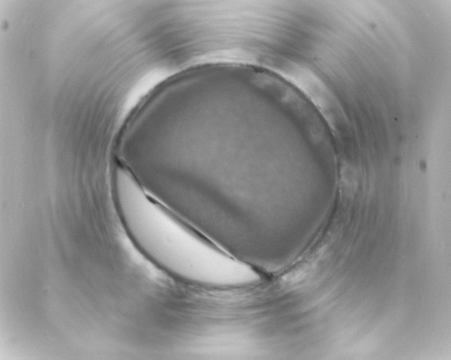 X0000088850998200706221656