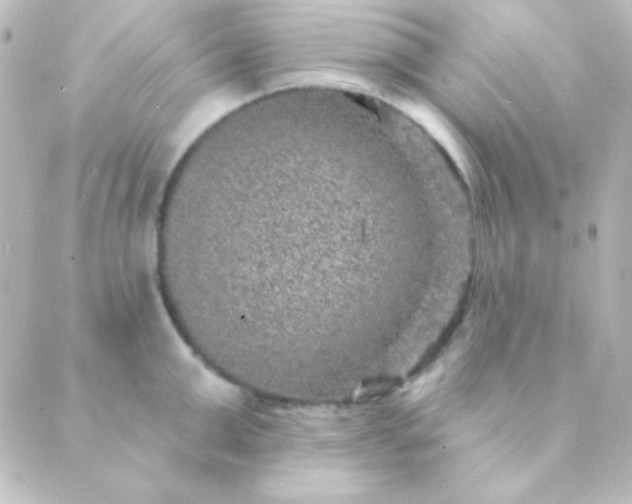 X0000088850999200706221655