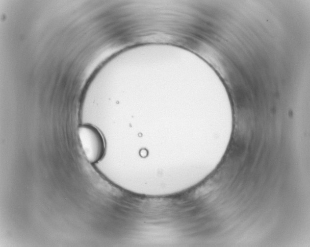 X0000088851000200706221655