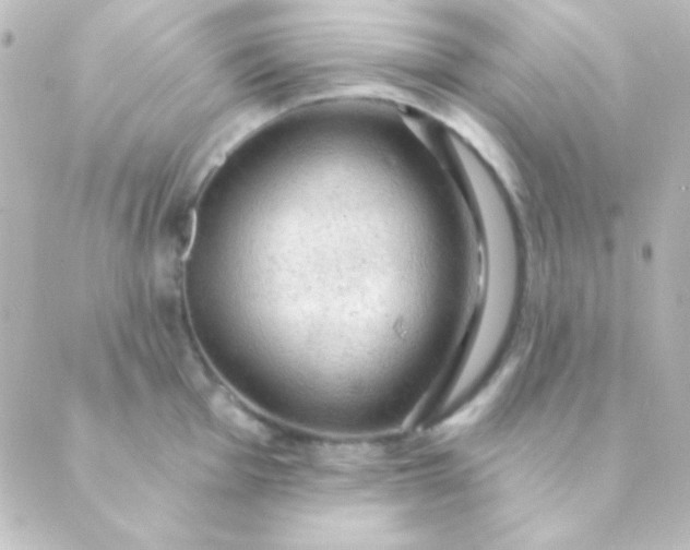 X0000088851001200706221655