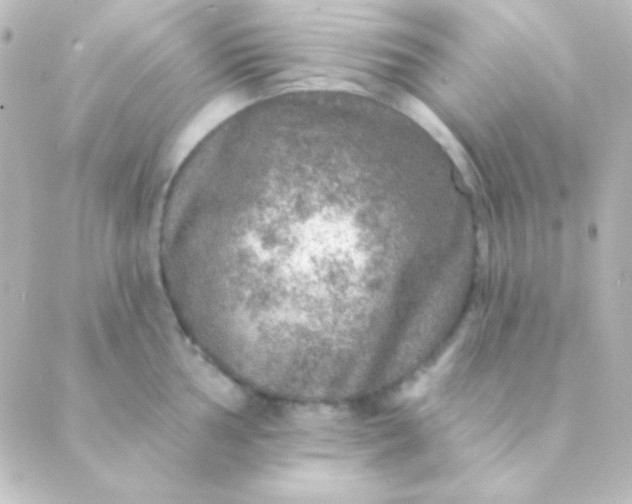 X0000088851002200706221655