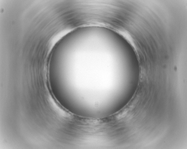 X0000088851003200706221655