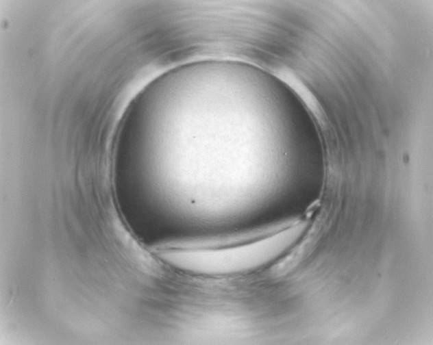 X0000088851004200706221655