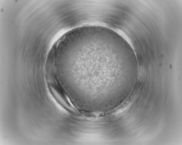 X0000088851005200706221655