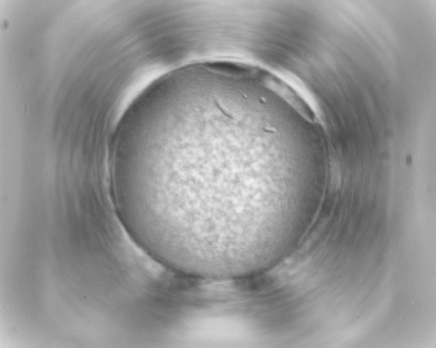 X0000088851006200706221655