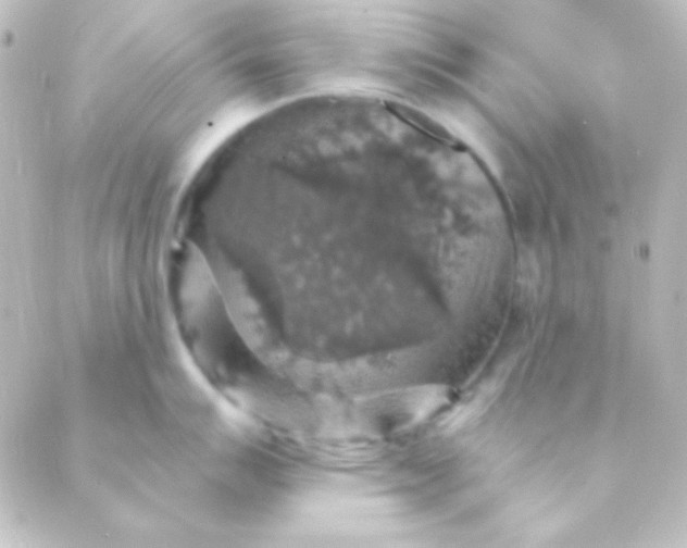 X0000088851007200706221655