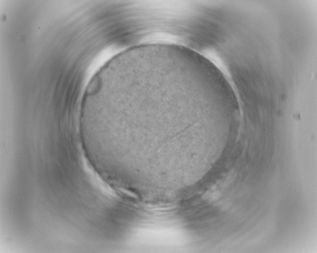 X0000088851008200706221655