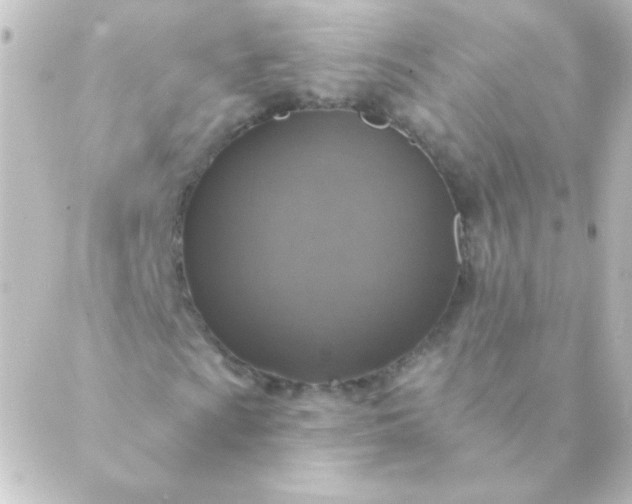 X0000088851009200706221655