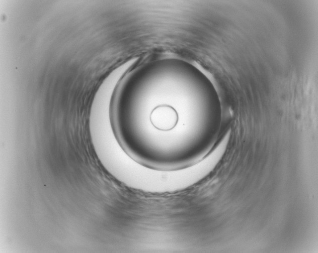 X0000088851010200706221655