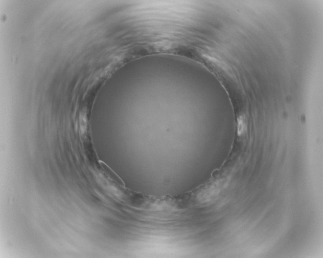 X0000088851011200706221655