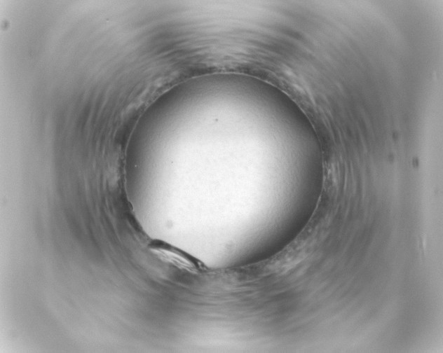 X0000088851012200706221655