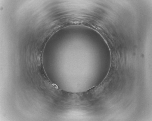 X0000088851013200706221655