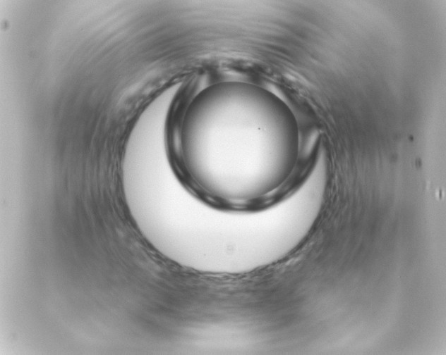 X0000088851014200706221655