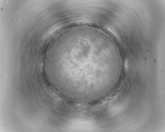 X0000088851015200706221655