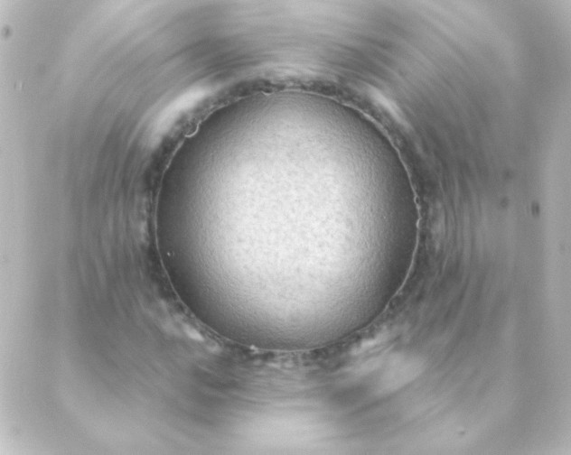 X0000088851016200706221655