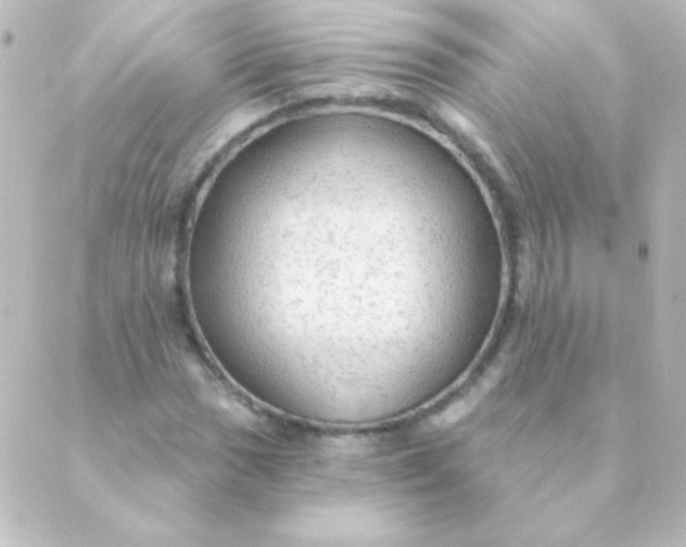 X0000088851017200706221655