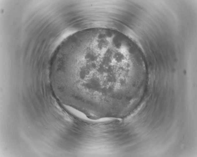 X0000088851019200706221655