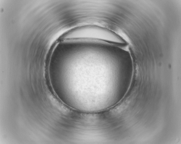 X0000088851020200706221655