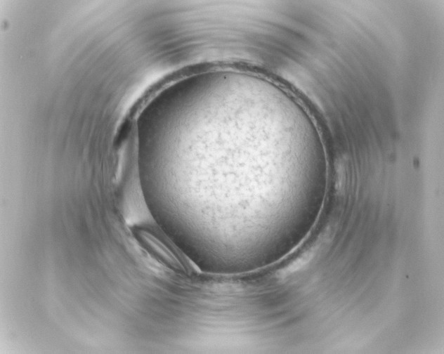 X0000088851021200706221655